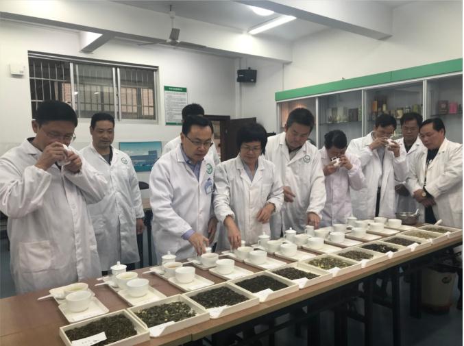瀟湘茶業(yè)開(kāi)展花茶審評(píng)和座談會(huì)，劉仲華院士等專(zhuān)家共謀花茶產(chǎn)業(yè)發(fā)展